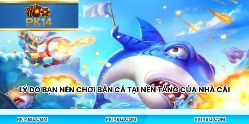 Lý do bạn nên chơi bắn cá tại nền tảng của nhà cái
