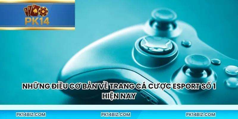 Những điều cơ bản về trang cá cược Esport số 1 hiện nay