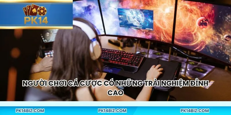 Người chơi cá cược có những trải nghiệm đỉnh cao
