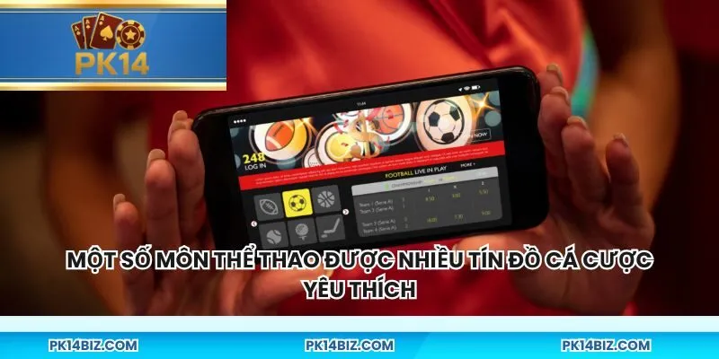 Một số môn thể thao được nhiều tín đồ cá cược yêu thích