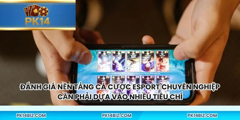 Đánh giá nền tảng cá cược esport chuyên nghiệp cần phải dựa vào nhiều tiêu chí