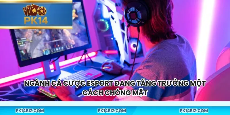 Ngành cá cược esport đang tăng trưởng một cách chóng mặt